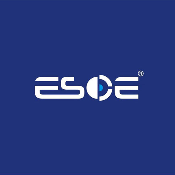 Shenzhen Esoe Technology Co., Ltd.