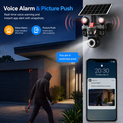 Voice alarm and picture push notification on smartphone
