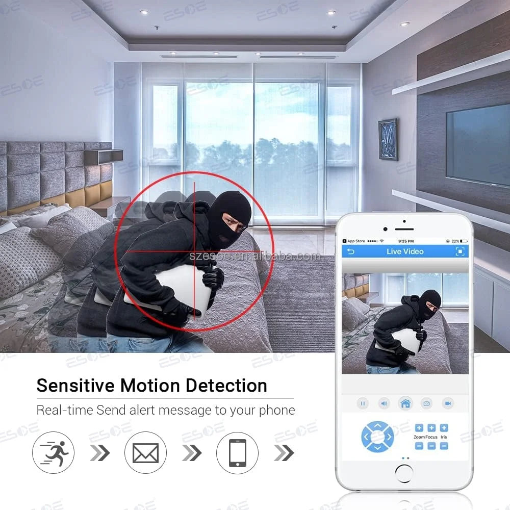 Customizable motion detection zones for smart security monitoring
