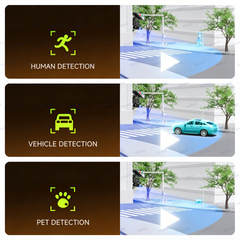 AI detection identifying humans vehicles and pets separately